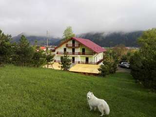 Фото Гостевой дом Grandemi Belvedere Bucovina г. Frasin